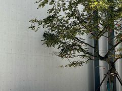 -中国宣纸文化园