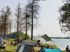 -鹤之洲湿地公园