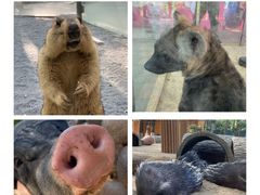 -北京野生动物园