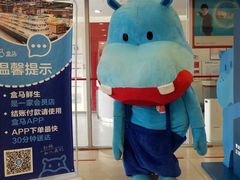 -盒马鲜生(大成店)