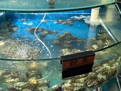 水产区-蓝珊甄选海鲜自助·火锅大排档(近阿那亚店)