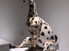 -上海油画雕塑院