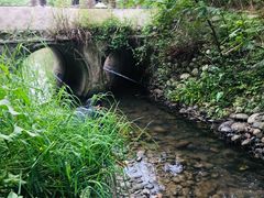 -桤木河湿地公园