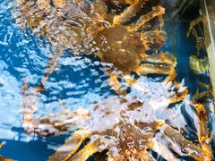 -盒马鲜生(大成店)