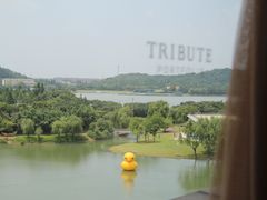 -佘山世茂艾美·御珍轩中餐厅