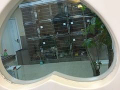 -芭比堂动物医院·24小时·眼科中心(深圳中心)