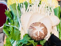 -鱼豆吉·豆浆鱼火锅(宜昌万达店)