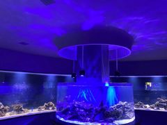 -上和臻品中国菜(花园街店)