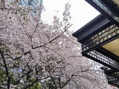 -玛格萝妮比萨屋(四平店)