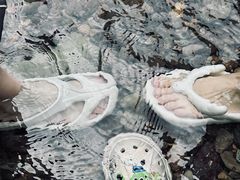 -龙苍沟森林公园