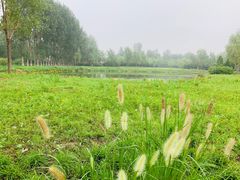 -东郊湿地公园