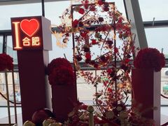 -合肥新桥国际机场-航站楼