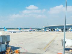 -郑州新郑国际机场-T2航站楼