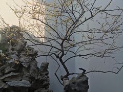 -胡雪岩故居