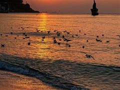 -海云台海滩