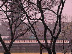 -上海方塔园