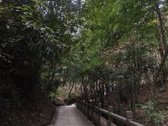 -崀山风景名胜区