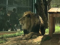 -昆明动物园