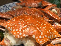 -卷心菜和避孕套餐厅(Pattaya)
