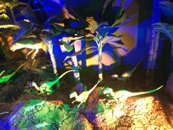 -恐龙探索乐园(磁器口店)