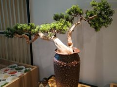 -享月汤皇·海鲜小火锅·聚会(曲江创意谷店)