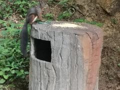 -北山公园