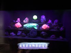 -中国地质大学逸夫博物馆