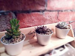 -MIKAKU(万达广场上海宝山店)