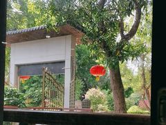 -公园茶楼粤式点心
