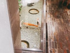 -0776食堂·京城创意菜(七里庄店)
