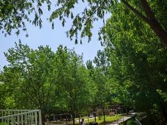 -西部长青自然儿童乐园