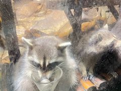 -波塞冬海底世界