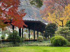 -浙江西子宾馆·瑶园咖啡厅