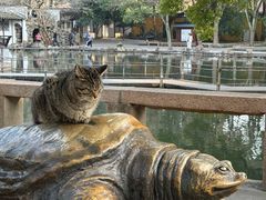 -西园戒幢律寺