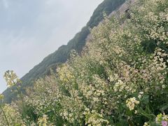-苏州上方山国家森林公园