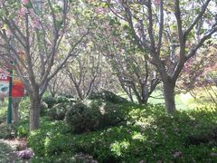 -石岛赤山风景区