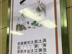 -北京中医药大学第三附属医院