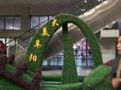 -阜阳站