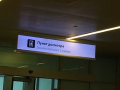 -谢列梅捷沃国际机场
