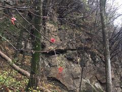 -帽儿山风景区