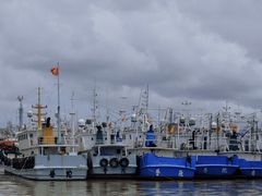 -渔中舟海鲜大排档(普陀沈家门店)