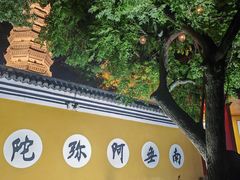 -迎江寺