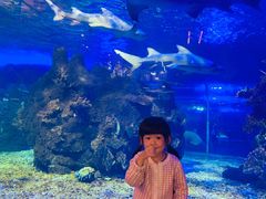 -江和美海洋公园
