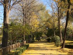 -迎泽公园