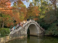 -深圳仙湖植物园