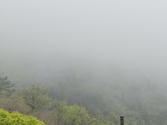 -浮槎山
