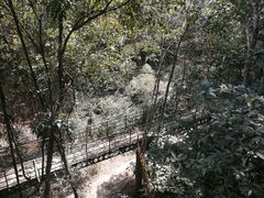 -野象谷景区