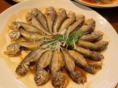 清蒸大头宝-金海湾海鲜总店