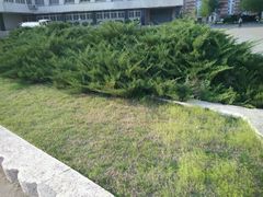 android_upload_pic-辽宁大学(崇山校区)