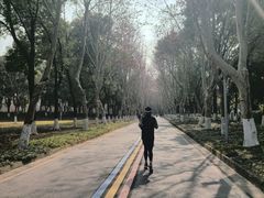 -南京奥林匹克体育中心